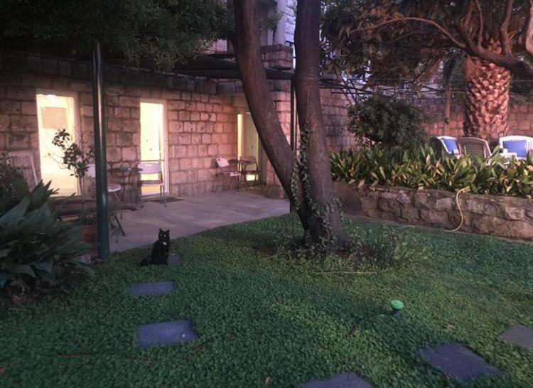 Ida Apartments Dubrovnik Dış mekan fotoğraf